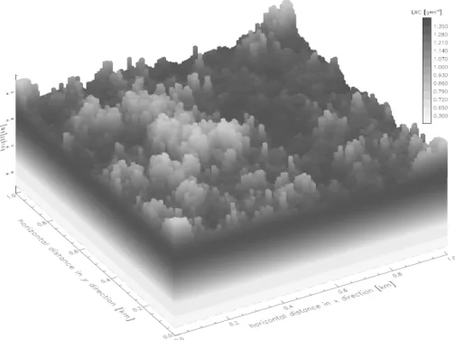 Fig. 2. LWC of the 3-D simulated cloud field.