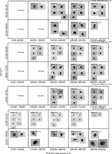 Fig. 5. Example CPI imagery from the four experiments shown in Figs. 1–4. The x-axis rep- EGU resents time since pumping started and the values on the y-axis indicate the size range of particles considered.