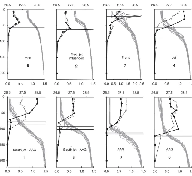 Fig. 2. Vertical profiles of sigma theta (grey lines) and total chl a (Tchl a; black lines and circles)