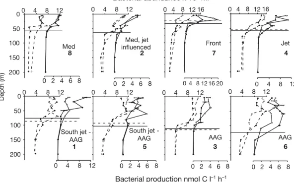 Fig. 5. Vertical profiles of bacterial abundance (dashed lines) and bacterial production (continuous lines)
