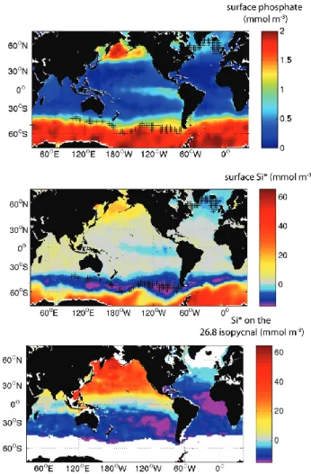 Fig. 1. Global nutrients at the ocean’s surface and in the SAMW layer. (a) Surface phosphate from WOA01 (Conkright et al., 2001).