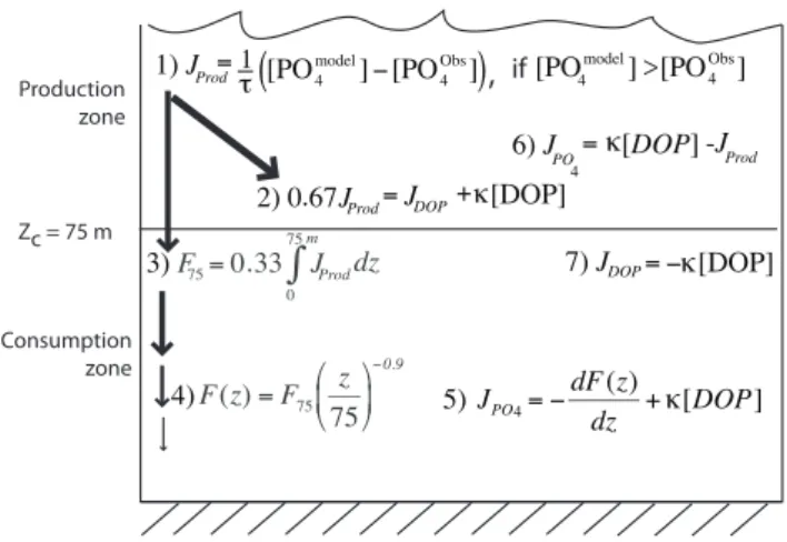 Fig. 3. A schematic showing the governing equations of the OCMIP-2 biological model. Terms that begin with the letter J are source/sink terms (black text), while terms that begin with the letter F are flux terms (grey text)