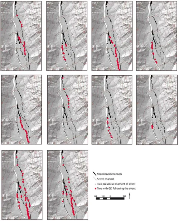 Fig. 7. Location of trees showing growth disturbances (GD) during reconstructed debris-flow events