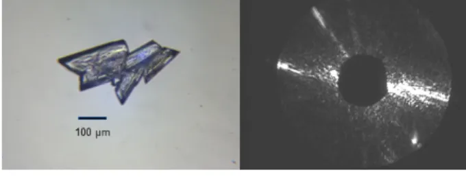 Figure A1. Microscopic image of an ice analogue aggregate with rough surface residing on a polycarbonate window (left)