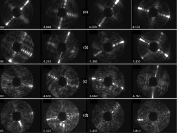 Figure 1. Representative examples of 2-D light scattering patterns of individual small columnar ice particles generated in re-growth cloud chamber experiments at − 50 ◦ C
