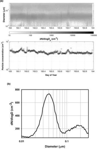 Figure 2. A typical aerosol size distribution measured by the SMPS system at the Mace Head Atmospheric Research station for a very clean marine air case: (11 June 2004, day of year (DOY) 163)