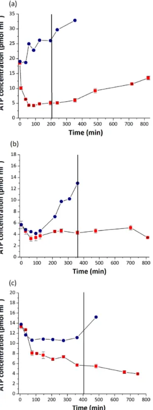 Figure 2. ATP concentration (µM) as a function of time (min) in the presence (red square) or absence (navy circle) of H 2 O 2 for the three strains: (a) Pseudomonas graminis (13b-3), (b) Pseudomonas  sy-ringae (13b-2), and (c) Sphingomonas sp