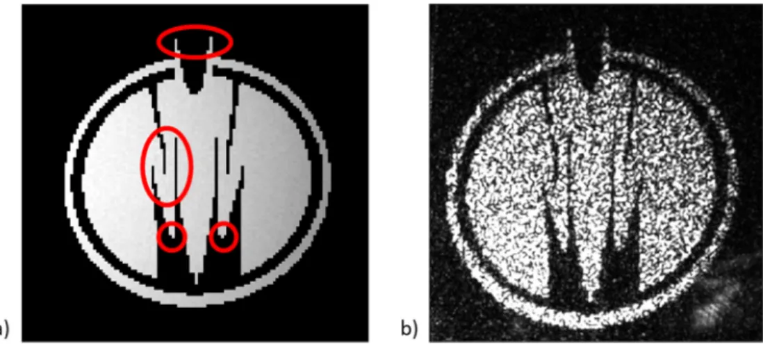 Fig. 10. (a) Simulated and (b) experimental reconstructed images. Single pixels and one pixel wide lines appear clearly on the reconstructed image.