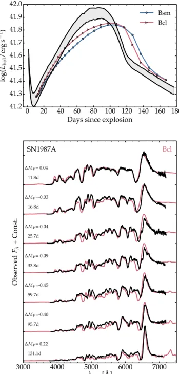 Figure 6 shows the bolometric light curve and spectral evolution from about 10 d until the onset of the nebular phase for model Bcl and for SN 1987A (for the light curve, both models Bsm and Bcl are shown)