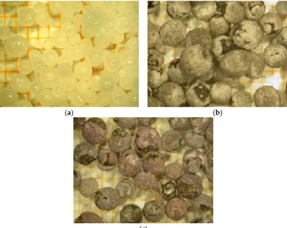 Figure 7. Visible microscopy images of NaOH-pellets at different steps of the process (the small  graduation of the paper in the background is 1 mm large)