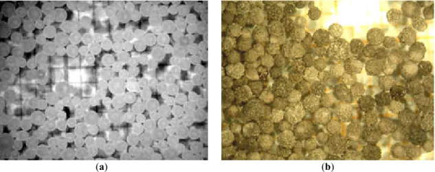 Figure 10. Evolution of the temperature as a function of time during mixing of NaOH with iron sulfate  (powder) containing about 1.74 mol of water (four trials run in same conditions)