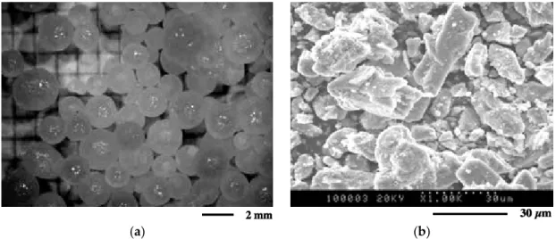 Figure 5. View of sodium hydroxide and ferrous sulfate samples: (a) Visible microscopy (VM) images  of NaOH pellets; (b) SEM images of FeSO 4 ·H 2 O