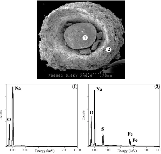 Figure 6. Scanning electron microscope coupled with energy dispersive spectrometry (SEM-EDS)  examination results of a NaOH pellet reacted with FeSO 4 ·H 2 O: (1) core of the NaOH pellet; (2) outer  part of the NaOH pellet