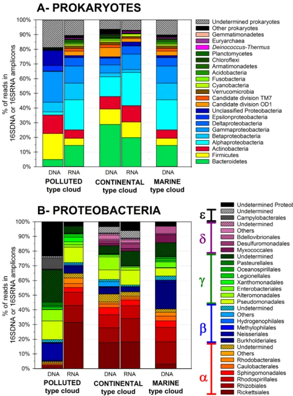 Fig 1. Prokaryotic total (DNA fraction) and active (RNA fraction) community composition in the cloud water samples at the phylum level (A),and relative distributions of Proteobacteria orders (B).