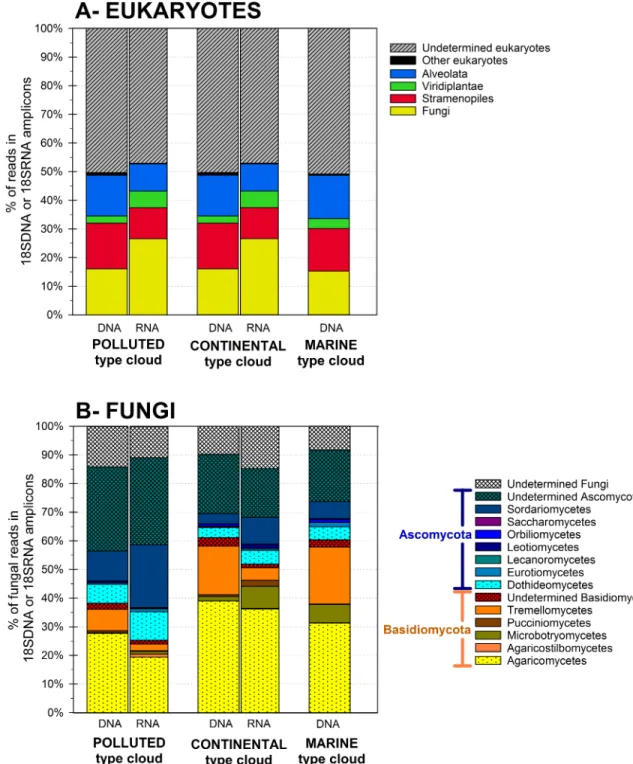 Fig 2. Eukaryotic total (DNA fraction) and active (RNA fraction) community composition in the cloud water samples at the kingdom level (A), and relative distributions of Fungal classes (B).
