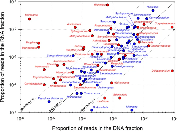 Fig 3. Representation of the major prokaryotic genera identified in DNA and RNA datasets
