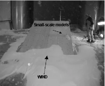 Fig. 11. Small-scale models of snow fences.