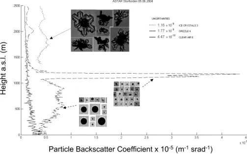 Fig. 5. Vertical profiles of particle backscatter coefficient retrieved for the selected regions in Fig