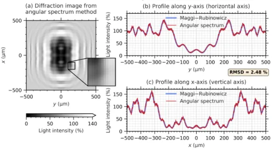 Fig. 5. (a) Diffraction image of a 200 × 400 µm opaque rectangle at Z = 2.5 cm computed with the angular spectrum theory
