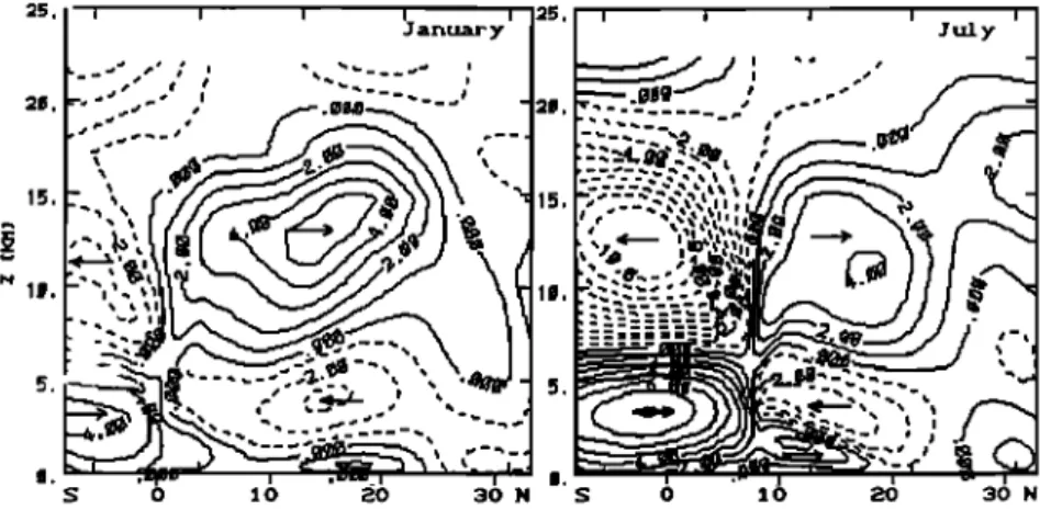 Figure  5.  Vertical cross sections of the meridional wind after 9 hours of model time in January and July