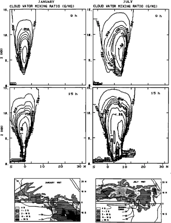 Figure  8.  Vertical cross sections of the bulk cloud water mixing ratios after 9 and 15 hours of model time  in January and July
