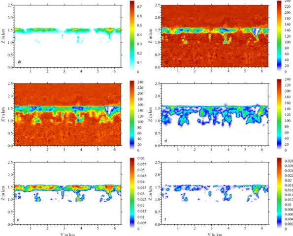 Figure 5. Vertical cross section of (a) the liquid water content (g cm −3 ), (b) the number of aerosol  particles (cm −3 ), (c) the number of “pristine” aerosol particles (cm −3 ), (d) the number of “processed” 