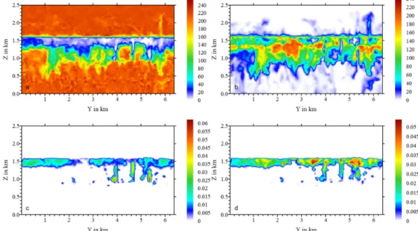 Figure 6. Vertical cross section of (a) the number of “pristine” aerosol particles (cm −3 ), (b) the number  of “processed” aerosol particles (cm −3 ), (c) the “pristine” aerosol particle mass in drops (µg m −3 ) and  (d) the “processed” aerosol particle m