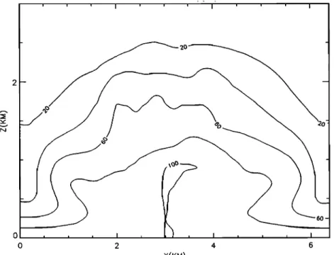 Figure 11.  The  simulated modification of  an inert tracer by cloud transport after  140 min