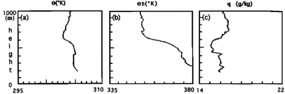 Figure 1.  Tethered balloon profile at 1200 local standard  time (LST) on May 4, 1987, at Ducke
