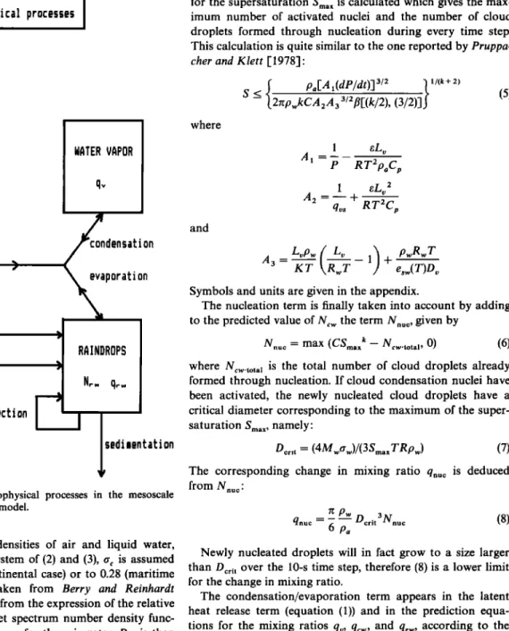 Fig.  1.  Synopsis of  the  microphysical processes in  the  mesoscale 