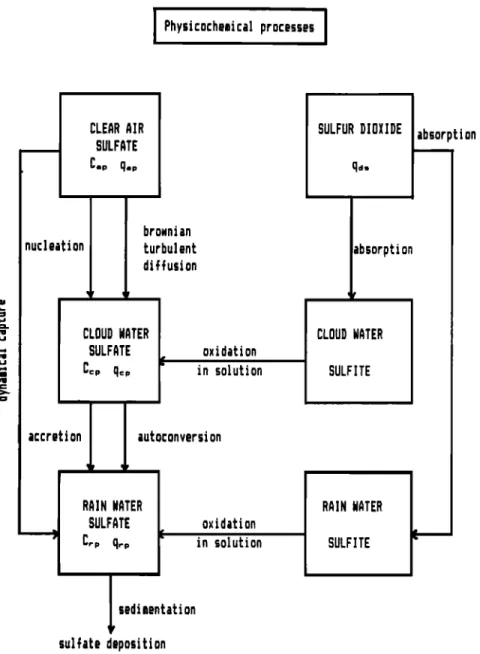 Fig.  2.  Synopsis  of the physicochemical  processes  in the mesoscale  model. 