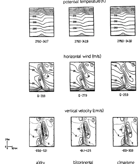 Fig. 3.  Potential  temperature,  horizontal  and vertical  velocities  for (a) dry, (b) continental,  and (c) maritime  cases  in the  presence  of orography