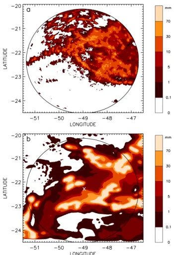 Fig. 4. Surface rainfall accumulated (in mm) between 8 February 2001 at 15:00 UT and 9 February 2001 at 00:00 UT (a) derived from the Bauru radar observations and (b) calculated by the model.