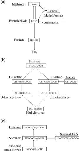 Fig. 4. Schematic representation of known metabolic pathways involving methanol, formalde- formalde-hyde and formate (a), lactate (b) and succinate (c).