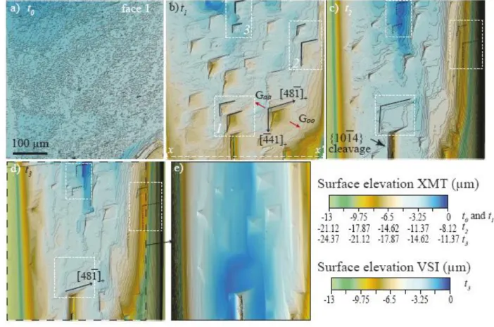 Figure  5.  Evolution  of  etch  pit  morphologies  at  the  crystal  surface.  (a)-(d)  XMT-derived 408 