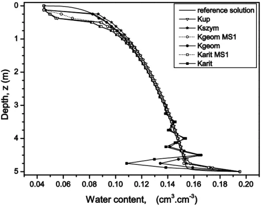 Figure 7.  Test case 4: water content profiles obtained after 5 days of evaporation under  variable upper boundary condition and with a nodal spacing of 25 cm