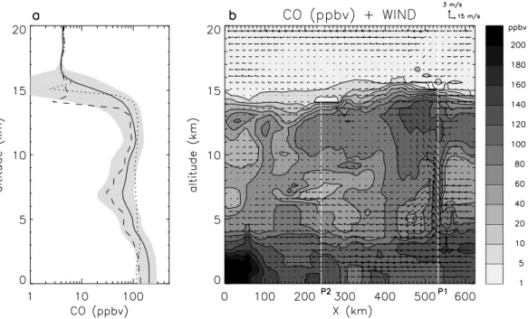 Fig. 5. Simulation results on 8 February 2001 at 22:00 UT. (a) CO averaged over the Grid 2 domain as a function of altitude (bold line) with logarithm scale in horizontal axis