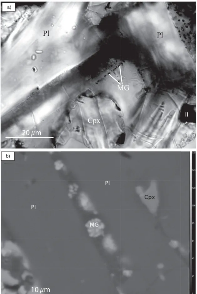 Figure 1. Photomicrograph of thin sections. (a) The picture of sample 00C549 (abnormal fabric) in transmitted light presents a fine microtexture with plagioclase (Pl), clinopyroxene (Cpx), titanomagnetite grains in black in interstitial glass (Gl)