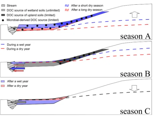 Figure 8. Conceptual diagram of the mobilization of dissolved organic carbon (DOC) pools during the water year