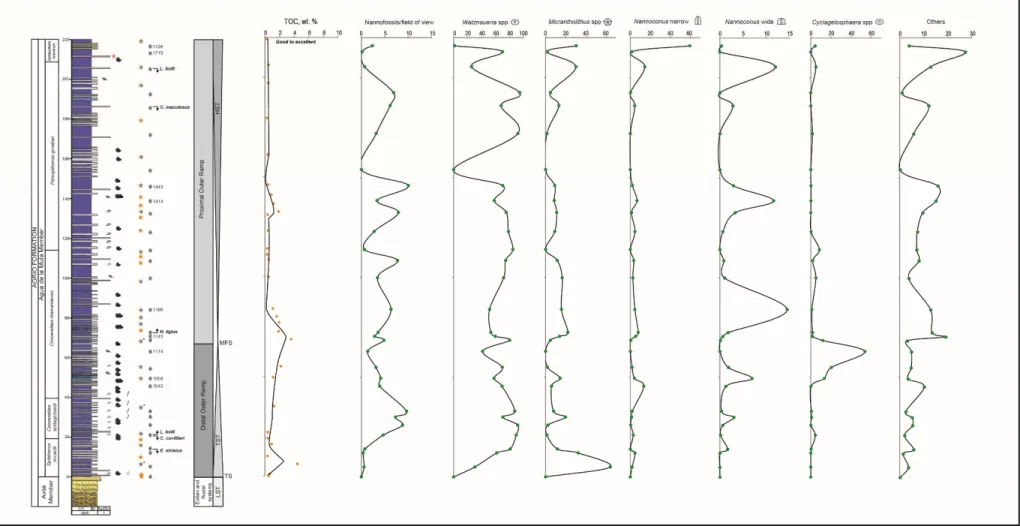 Figure 7. Lithological column and biostratigraphy of the late Hauterivian at the El Portón locality, plotted against TOC and nannofossils abundance percentages of Watznaueria  spp., Micrantholithus spp., narrow and wide canal Nannoconus, Cyclagelosphaera s