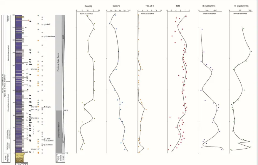 Figure 8. Lithological column plotted against clay and carbonate content, TOC ,  δ 13 C, HI and OI.