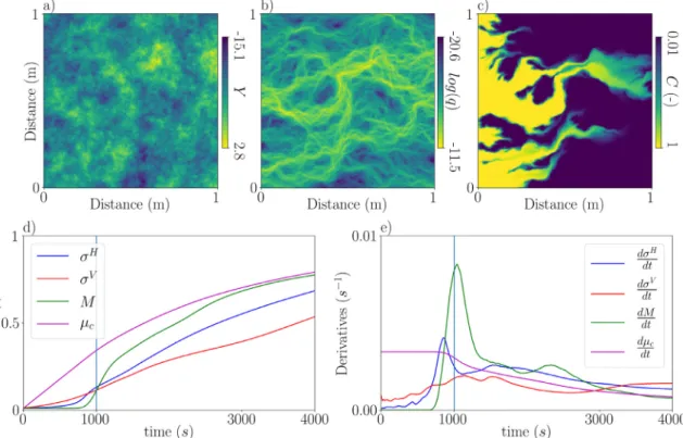 Fig. 3. (Color online) (a) Strongly heterogeneous hydraulic conductivity ﬁeld, deﬁned with geostatistical parameters ( 
