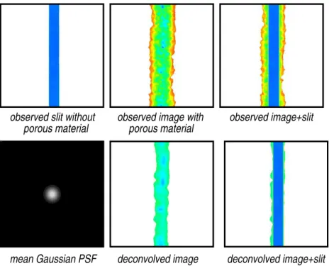 Fig. 3. Multiple light scattering in observed image was corrected by deconvolution using the Gaussian point spread function obtained from averaging eight horizontal and vertical slits  dis-tributed over the cell.