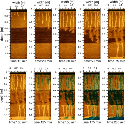 Fig. 5. Fingering patterns observed by light transmission (LTM) during water infiltration into the layered medium