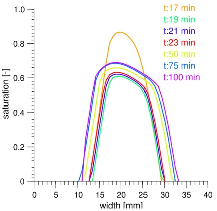 Fig. 8. A horizontal transverse saturation profile at a fixed location for di ff erent times during the passage of a finger showing the dynamics of water saturation within a finger from the initial finger tip to a quasi-stable state.