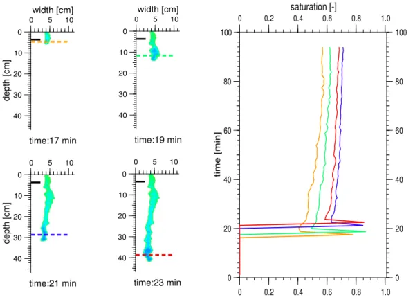 Fig. 9. The temporal dynamics of water saturation inside the finger core during the passage of a finger at different depths
