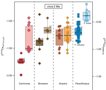 Fig. 3 Box and whisker plots showing the distribution of δ 44/42 Ca values (in ‰ ) between Turkana Basin Paranthropus boisei, South African Paranthropus robustus 33 and associated mammal faunas
