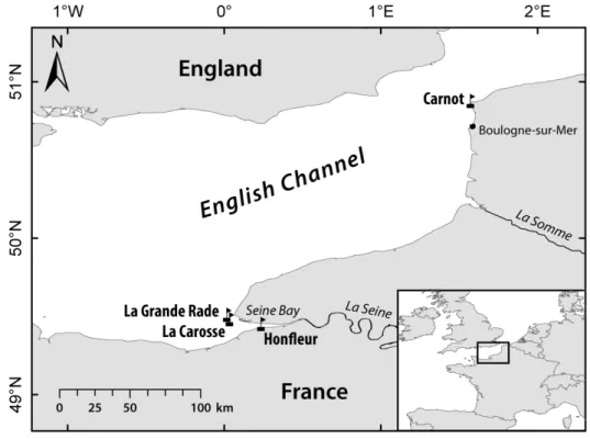 Fig. 1. Map of the location of the measurements in the English Channel. The Seine and Somme rivers are indicated in the map.