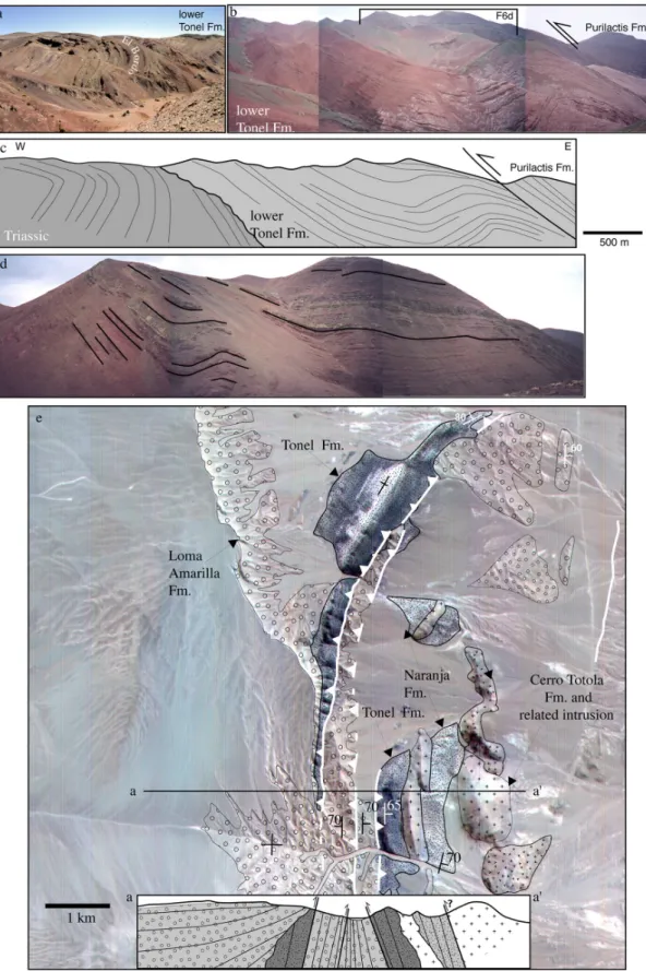 Figure 6. Evidence for compressional setting during sedimentation. (a) Growth anticline overturned to east in Triassic El Bordo strata and lower Tonel Formation