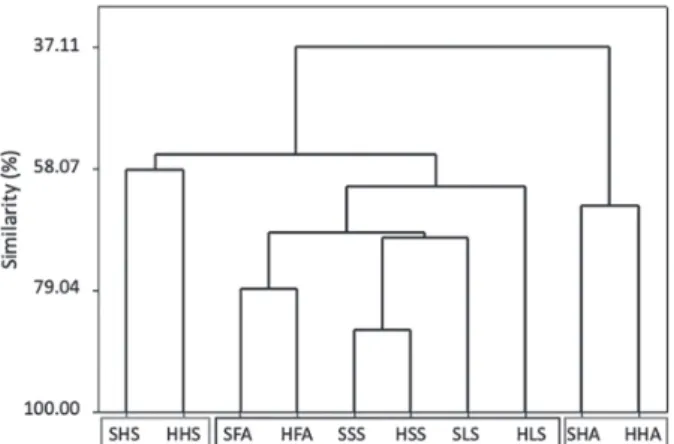 Figure  1. Dendrogram from hierarchical cluster analysis (HCA) for  the SOM fractions studied, based on the parameters: E 465 /E 665 , E 207 /E 470 ,   E 250 /E 365 , A 4 /A 1 , A 465 , Q 1 , Q 2  and metal species.